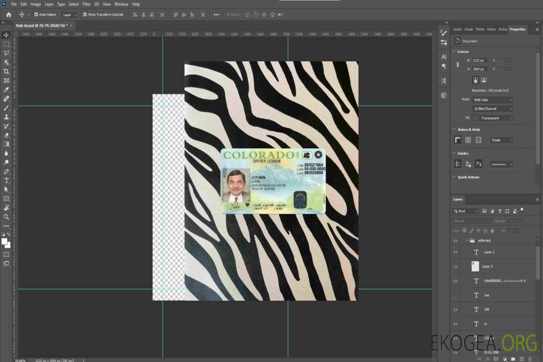 Permis de conduire USA Colorado version 2 photolook AVANT template
